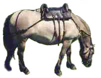 deersaddleoutline.jpg - 14452 Bytes